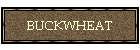 BUCKWHEAT