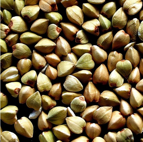 BUCKWHEAT