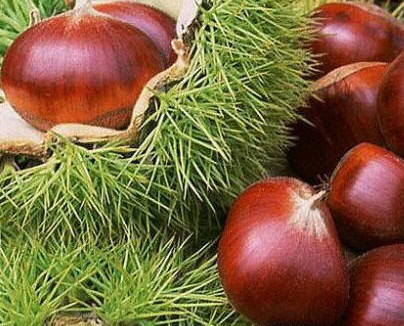 CHESTNUTS